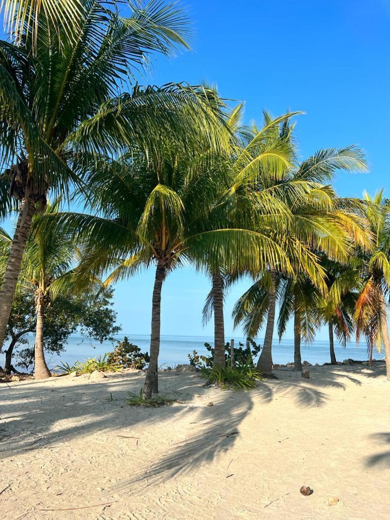 Casa Calamar Isla Holbox Exterior photo